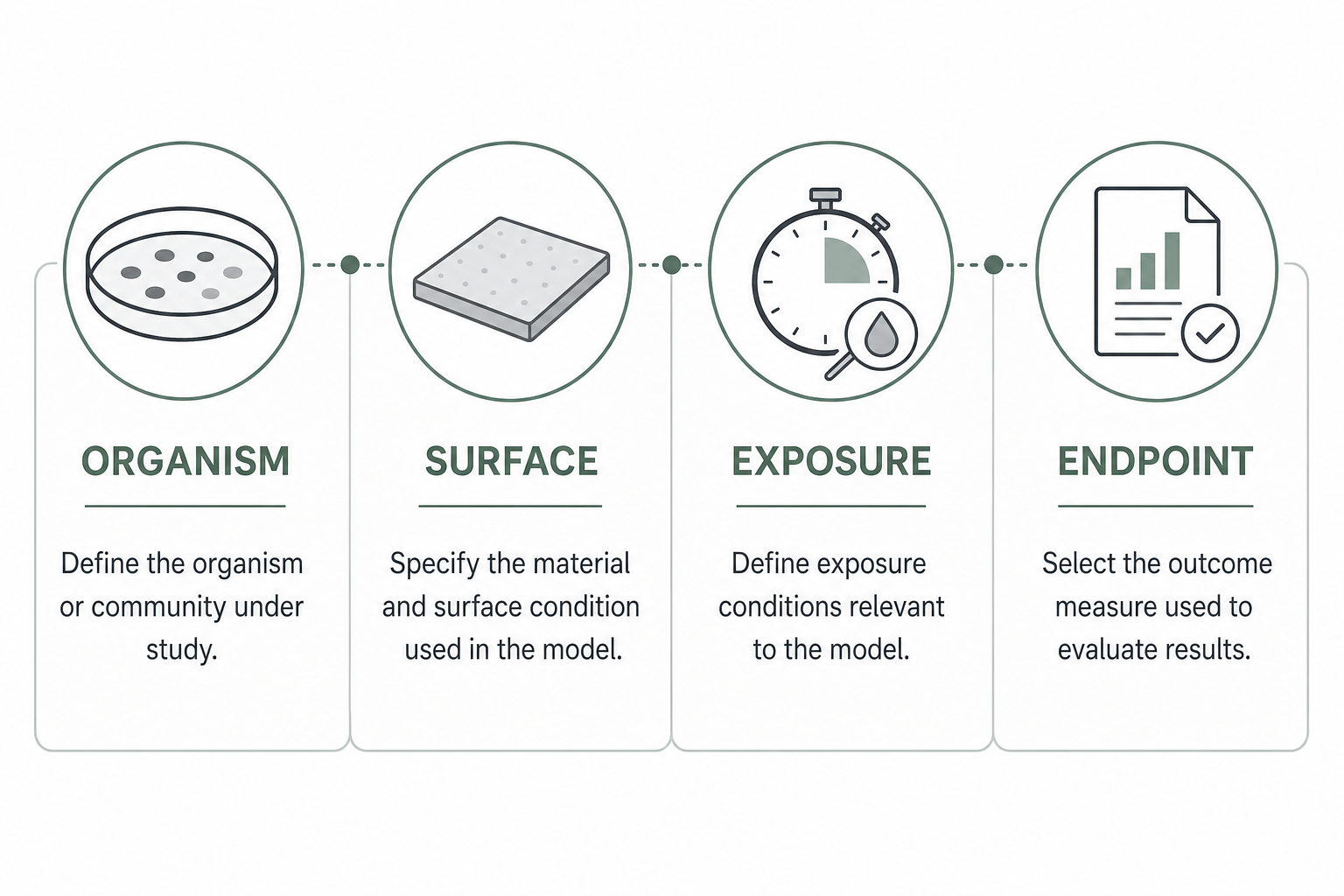 Biofilm model boundary graphic showing organism, surface, exposure, and endpoint.